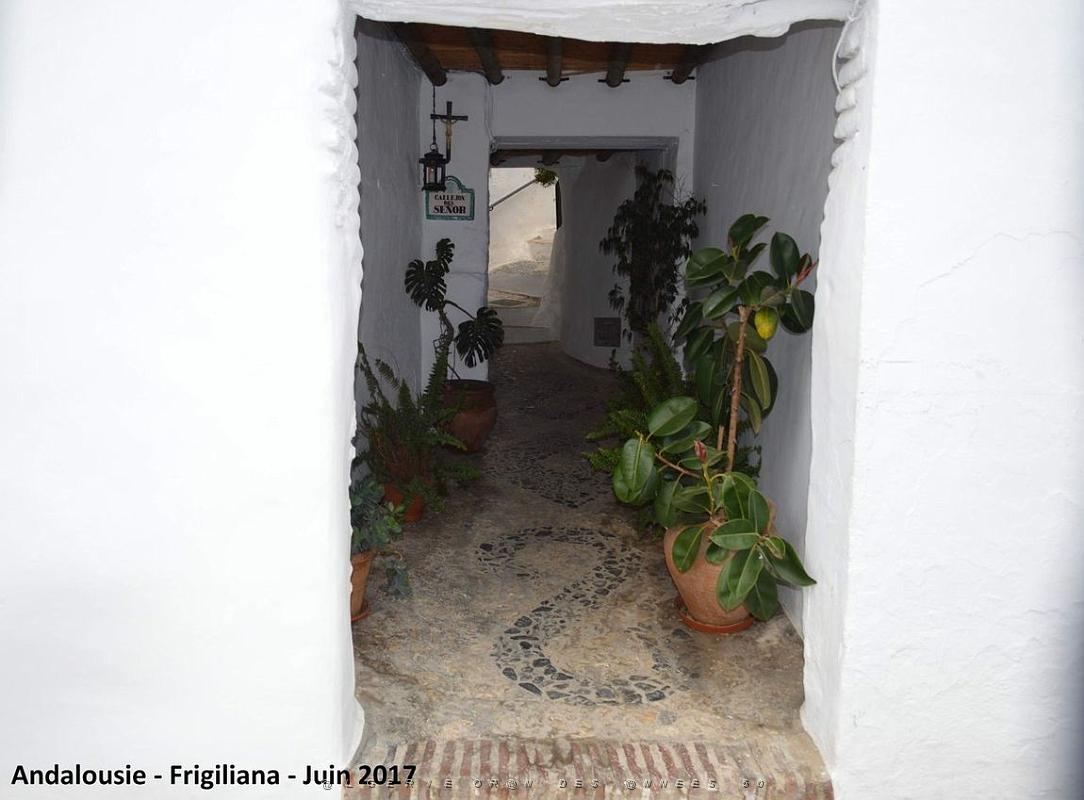 591 - Frigiliana.JPG